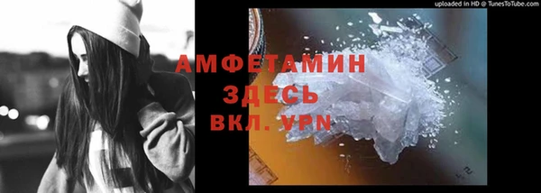 ГАЛЛЮЦИНОГЕННЫЕ ГРИБЫ Рославль