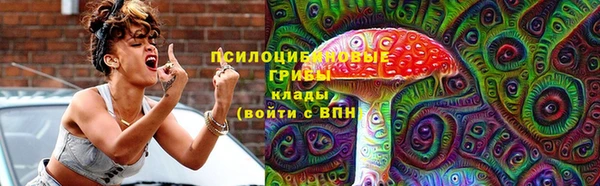 прущие грибы Ростов