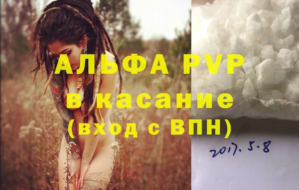 прущие грибы Ростов