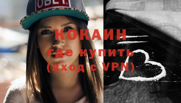 прущие грибы Ростов