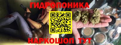 амф Гусев
