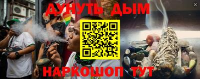 амф Гусев