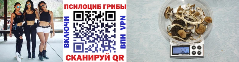 Псилоцибиновые грибы GOLDEN TEACHER Гагарин