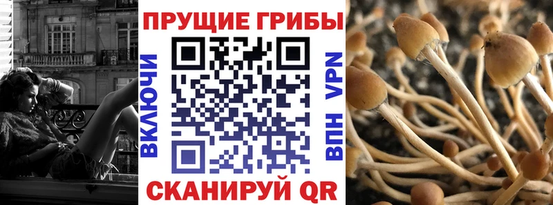 что такое наркотик Гагарин ОМГ ОМГ ТОР Псилоцибиновые грибы Psilocybe