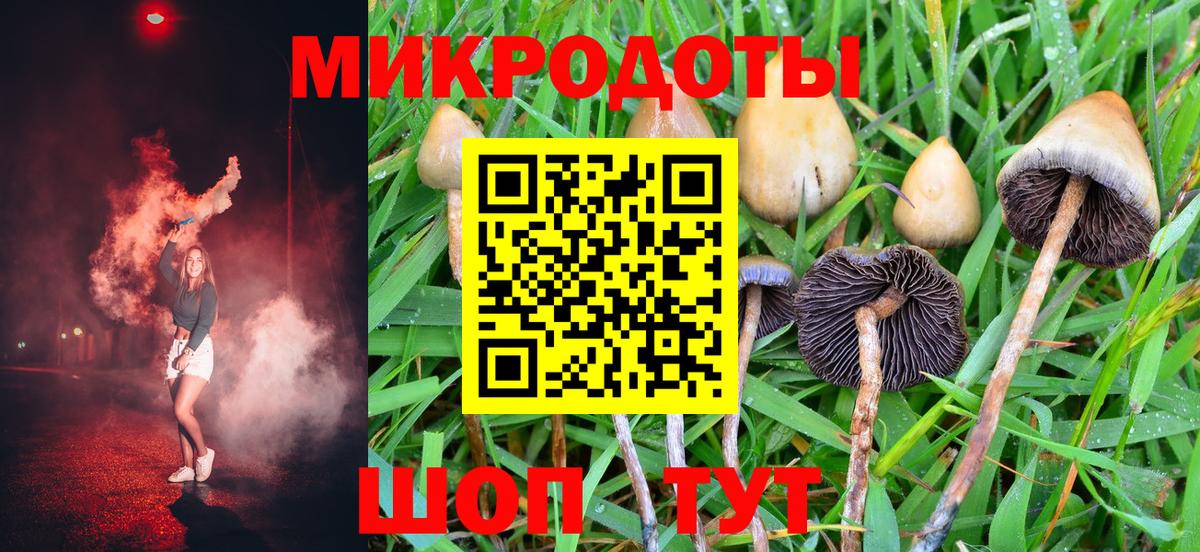 Псилоцибиновые грибы Magic Shrooms  где можно купить   Гагарин  Галлюциногенные грибы ЛСД  Вход с VPN 